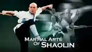 martial arts of shaolin