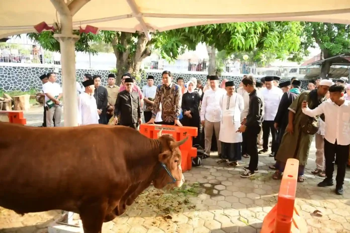 qurban iduladha pemkab indramayu