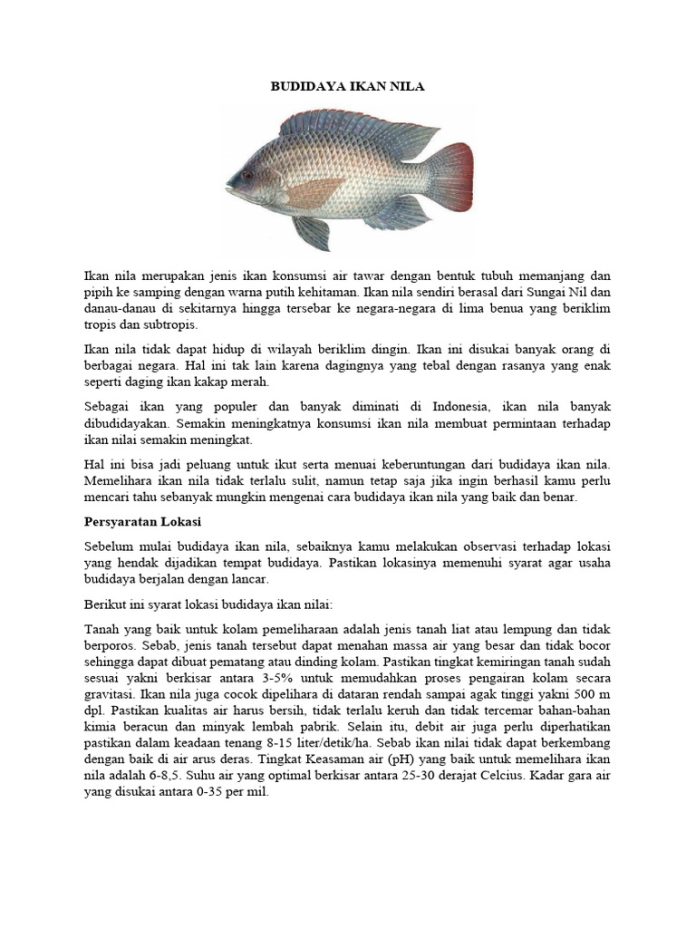 Attachment for Mengapa Ikan Nila Rentan Mati Saat Hujan, Petani Harus Tahu