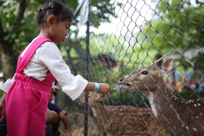 Attachment for Sri Devi Jadi Tersangka Pemalsuan Akta di Pengelolaan Kebun Binatang Bandung