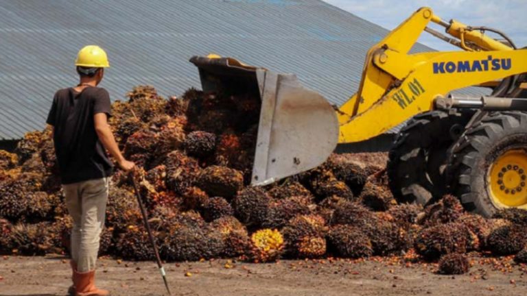 BYAN dan PGUN Bantah Rumor Akuisisi Saham Senilai US$5,5 Miliar