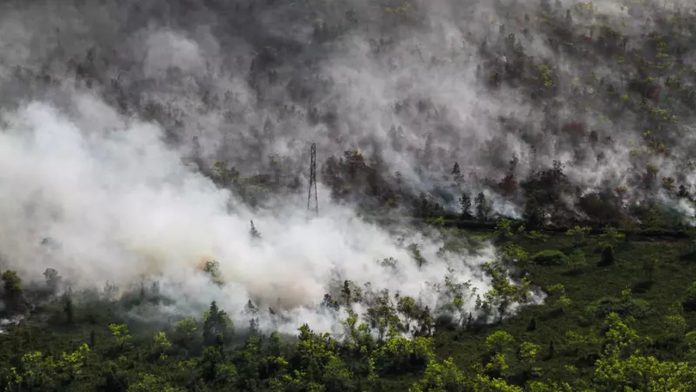 DPR: Malaysia dan Singapura Wajib Ikut Cegah Karhutla di Kalimantan DPR: Malaysia dan Singapura Wajib Ikut Cegah Karhutla di Kalimantan