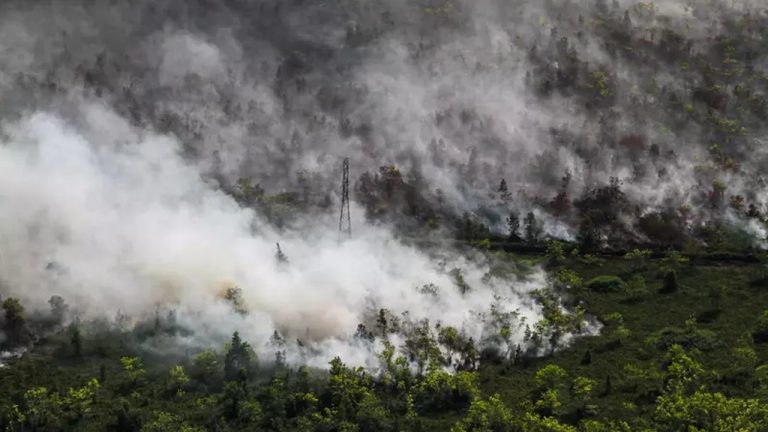 DPR: Malaysia dan Singapura Wajib Ikut Cegah Karhutla di Kalimantan