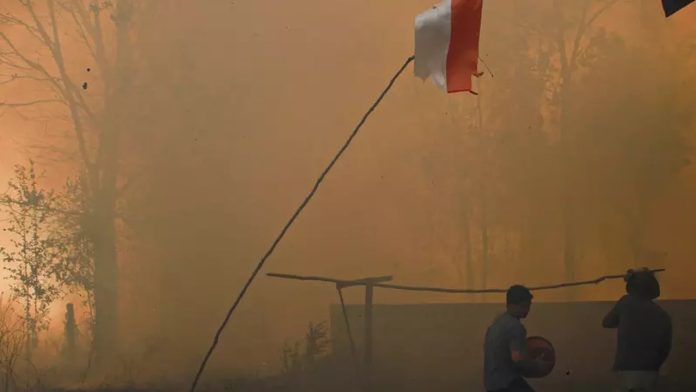 Karhutla Kalimantan Mengancam Ekonomi Lokal, Pemerintah Perluas Penanganan Intensif