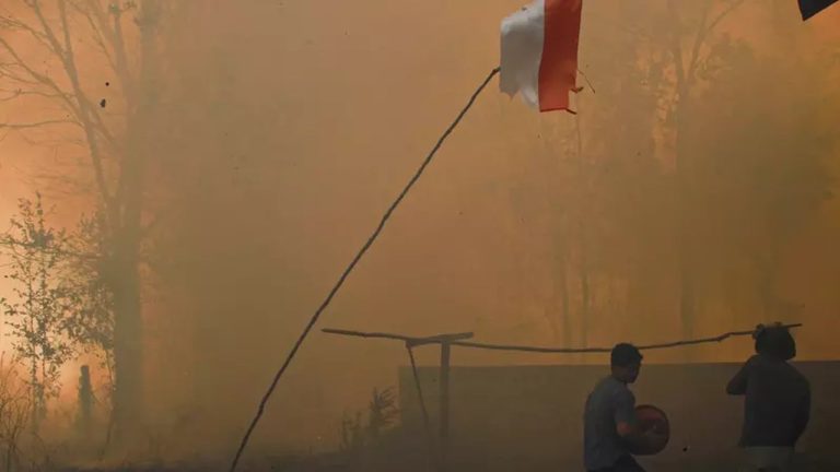 Karhutla Kalimantan Mengancam Ekonomi Lokal, Pemerintah Perluas Penanganan Intensif