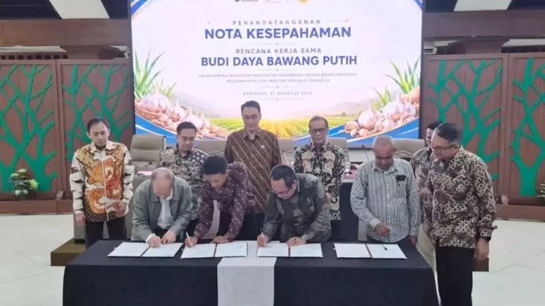 PTPN Group Targetkan 10.000 Hektare Lahan Bawang Putih di Jabar pada 2026